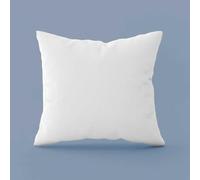 Alpes Blanc - Oreiller Naturel 90% Duvet - Fabrication Française Haut de Gamme - Ultra-léger et Moelleux, Confort 5 étoiles, Anti-acariens