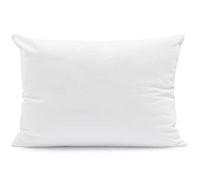Alpes Blanc - Oreiller Naturel Moelleux 90% Duvet de Canard Neuf - 50x70 cm - Fabrication Française - Ultra gonflant - Confort Luxe inégalé - Enveloppe Percale de Coton