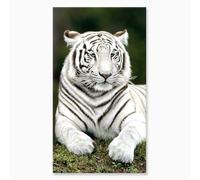 Alpes Blanc - Serviette de Plage Tigre Blanc 90x170