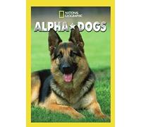 Alpha Dogs (DVD)