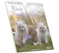 Alpha Edition Calendrier 2026 avec petites pattes de velours - 16 x 17 cm - Avec motifs de chats - À poser ou à suspendre - Joli calendrier de table et idée cadeau pour les amoureux des chats