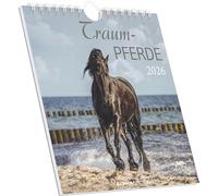 Alpha Edition Calendrier 2026 de chevaux de rêve - Calendrier cartes postales 16 × 17 cm avec motifs chevaux, à poser ou à suspendre, calendrier de table décoratif & idée cadeau pour les amateurs de