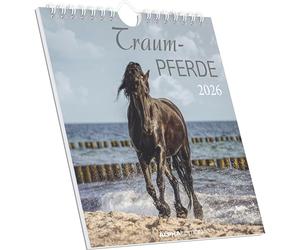 Alpha Edition Calendrier 2026 de chevaux de rêve - Calendrier cartes postales 16 × 17 cm avec motifs chevaux, à poser ou à suspendre, calendrier de table décoratif & idée cadeau pour les amateurs de