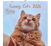 Alpha Edition - Calendrier Funny Cats 2026 - Calendrier mural 30 x 30 cm - Calendrier amusant pour les amoureux des chats - 12 photos de chats amusantes, beaucoup d'espace pour les notes, avec jours