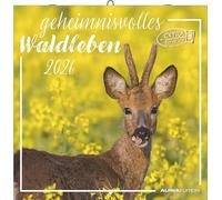 Alpha Edition - Mystérieux Calendrier de la vie forestière 2026 - Calendrier mural 30 x 30 cm - Pour les amoureux de la nature - 12 photos impressionnantes d'animaux de la forêt, beaucoup... Jours
