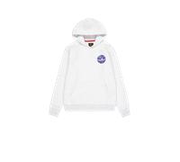 Alpha Industries Backprint Logo Hoodie pour homme Taille L - Gris