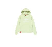 Alpha Industries Basic Big Logo Hoodie pour homme Taille M - Vert menthe