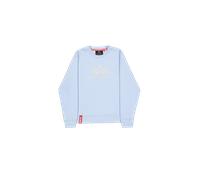 Alpha Industries Basic Big Logo Sweatshirt pour homme Taille 2XL -