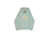 Alpha Industries Basic Big Logo Hoodie pour homme Taille L -
