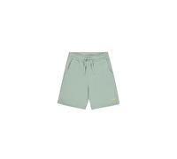 Alpha Industries Basic Sl Ii Sweat Shorts Vert L Homme