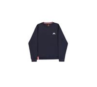 ALPHA INDUSTRIES Basic Sweater Small Logo Foil Print Sweat-Shirt À Capuche Sport Homme