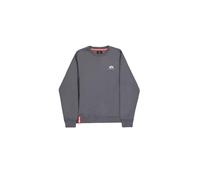 ALPHA INDUSTRIES Basic Sweater Small Logo Foil Print Sweat-Shirt À Capuche Sport Homme