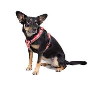 Alpha Industries Dog RBF Harness Dark Olive L