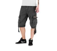 Alpha Industries Jet Cargo Shorts Gris 29 Homme