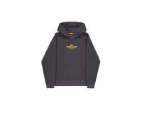 Alpha Industries Return To Base Hoodie pour homme Taille 3XL - Gris