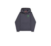 Alpha Industries Spray Print Hoodie pour homme Taille M - Gris