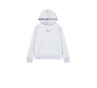 Alpha Industries Studio Edition Backprint Hoodie pour homme Taille 2XL - Gris