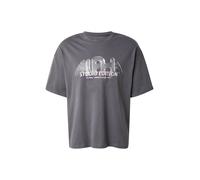 ALPHA INDUSTRIES T-Shirt 'Studio Edition Vibe' gris foncé / vert pastel / rose, Taille XL