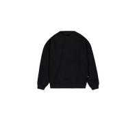 Alpha Industries UV Sweatshirt pour homme Taille L - Noir