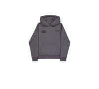 Alpha Industries World Logo Backprint Hoodie pour homme Taille 3XL - Gris