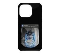 Alpha Wolf Sigma Wolf Motion Porte d'entrée Loup Solitaire Coque pour iPhone 13 Pro