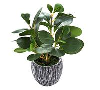 AlphaAcc Artificial Plants Real Looking and Touching Fake Plant Evergreen Plastic Fiddle Leaf Fig Plant with Rustic Black Cement Planter for Housewarming Office Desk Decor