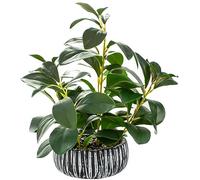 AlphaAcc Plantes succulentes artificielles en Pot avec Pot de Fleurs rustiques en Argile Noire pour Salle de Bain, Chambre à Coucher, Cuisine, Bureau, Table Basse
