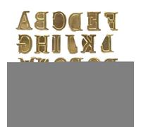 Alphabet Branding Kit - Métal Bois Burning Lettres Tampons - Outil de Gravure Réglable avec Chiffres Symboles Conseils Design Artistique | pour Maroquinerie, Artisanat, Bricolage Art, Studio