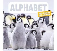 Alphabet: Mon Imagier des animaux
