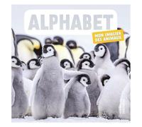 Alphabet - Mon Imagier Des Animaux