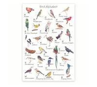Alphabet Poster with Birds, Educational ABC Wall Art for Classroom Decor, Bird Lover Gift and Nursery Kids Room Learning Chart(Unframed,16x24inch(40x60cm))