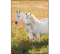 AlphaEdition 102826 Calendrier illustré Chevaux - 23,7 x 34 cm