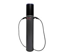 Alphatec Schaltschranksysteme GmbH AC Twin Colonne de Charge 2 x 11 KW Plug & Play