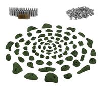 ALPIDEX 80 Prises Escalade avec Vis et Écrous Mur Pierre Blocs Set | Poignée, Accroche, Arbre, Bloc, Grip, Kit, Support, dès 3 ans, jusqu'à 200 kg, plastique, multicolore, montage