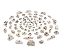 ALPIDEX 80 Prises Escalade Mur Pierre Extérieur Intérieur 6-10 m² | Poignée, Accroche, Arbre, Bloc, Grip, Kit, Support, dès 3 ans, jusqu'à 200 kg, vis incluses, plastique, multicolore