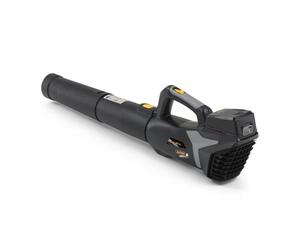 Alpina AB 20 Li Kit Souffleur À Batterie, 20 V, 32 m/s - Batterie 20 V 4 Ah Incl., Vitesse Variable - Nettoyage Du Jardin