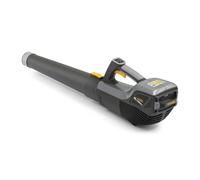 Alpina - abl 48 Li Kit souffleur de feuilles sans fil 48V Li-Ion (1x 2.0Ah) - 55 m/s - vitesse variable