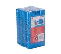 ALPINA - Lot de 4 blocs réfrigérants 220 ml ALPINA - Réf. 871125247526
