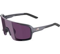 ALPINA Lumin Lunettes de Sport, Métal Mat, M Mixte