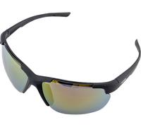 Alpina Lunettes de Sport Defey HR noir