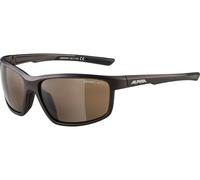 Alpina Lunettes de Sport Defey noir