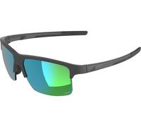 Alpina Lunettes de Sport Eagle Q-Lite gris