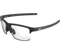 Alpina Lunettes de Sport Eagle V noir
