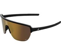 Alpina Lunettes de Sport RAM 2.0 noir