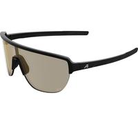 Alpina Lunettes de Sport RAM 2.0 noir