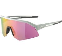 Alpina Lunettes de Sport Sonic HR Q gris