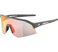 Alpina Lunettes de Sport Sonic HR QV gris
