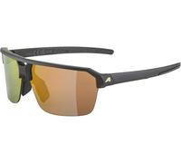 Alpina Lunettes de Sport Swift HR noir