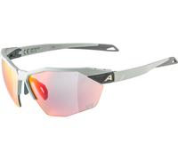 Alpina Lunettes de Sport Twist Six HR QV gris