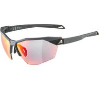 Alpina Lunettes de Sport Twist Six HR QV gris